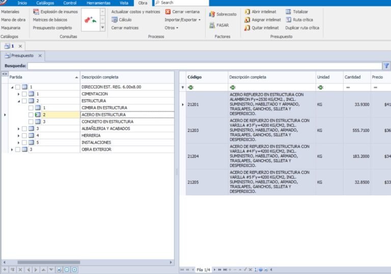 Presupuesto en neodata